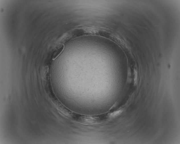 X0000082700229200702091730