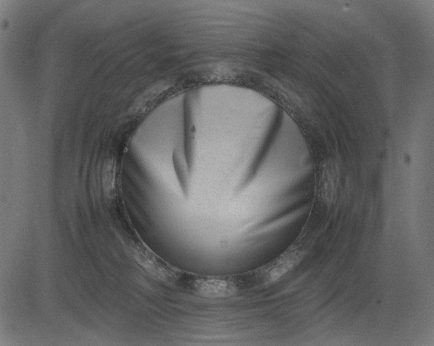 X0000082700230200702091730