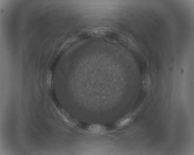 X0000082700231200702091730