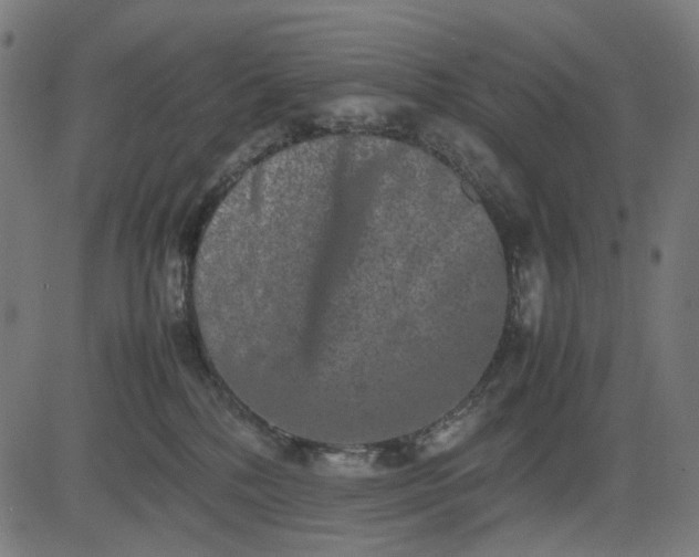 X0000082700232200702091730