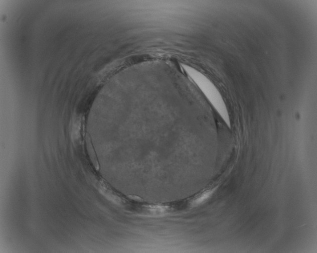 X0000082700233200702091730