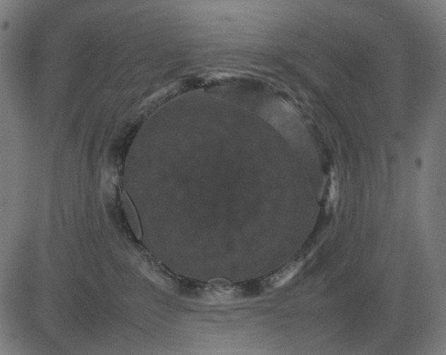 X0000082700235200702091730