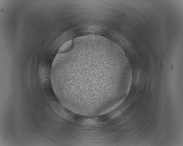 X0000082700236200702091730