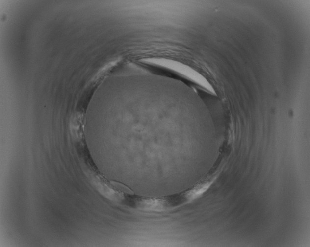 X0000082700237200702091730