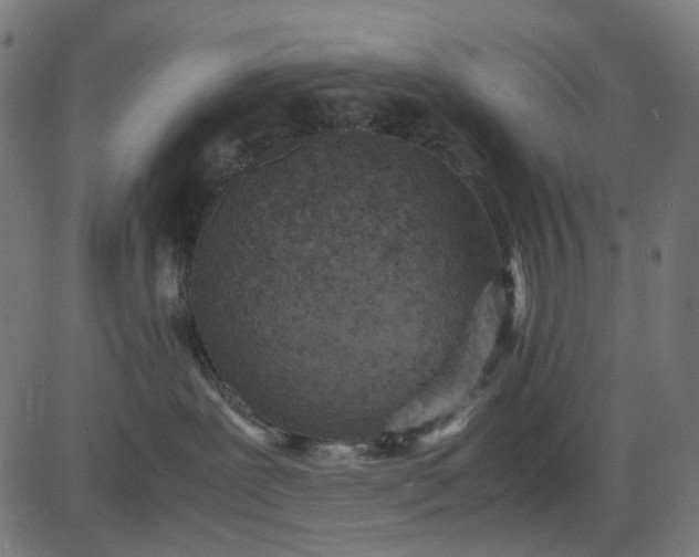 X0000082700239200702091730