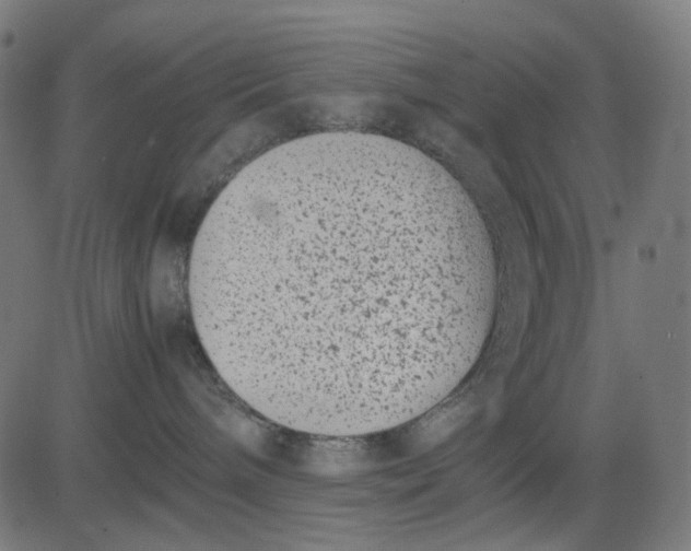 X0000082700240200702091730