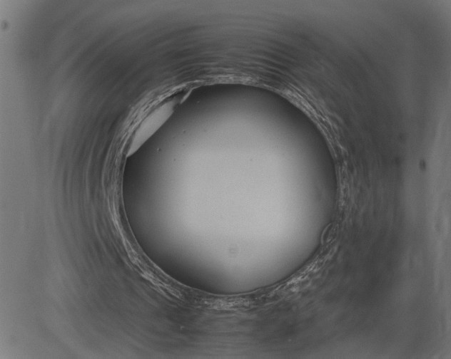 X0000082700241200702091729