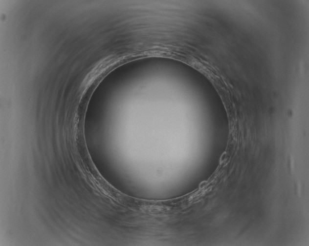 X0000082700242200702091729