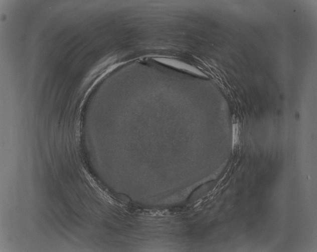 X0000082700243200702091729