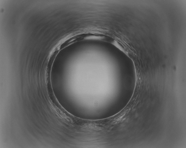 X0000082700244200702091729