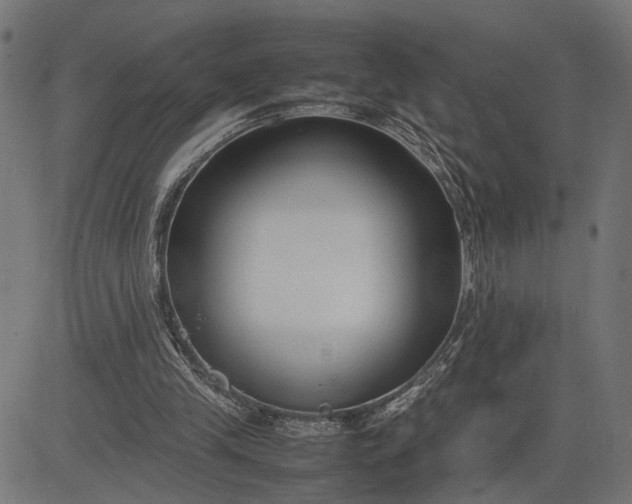 X0000082700245200702091729