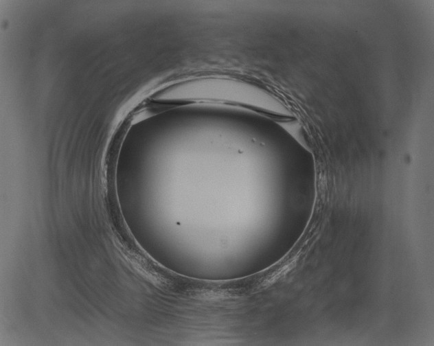 X0000082700246200702091729