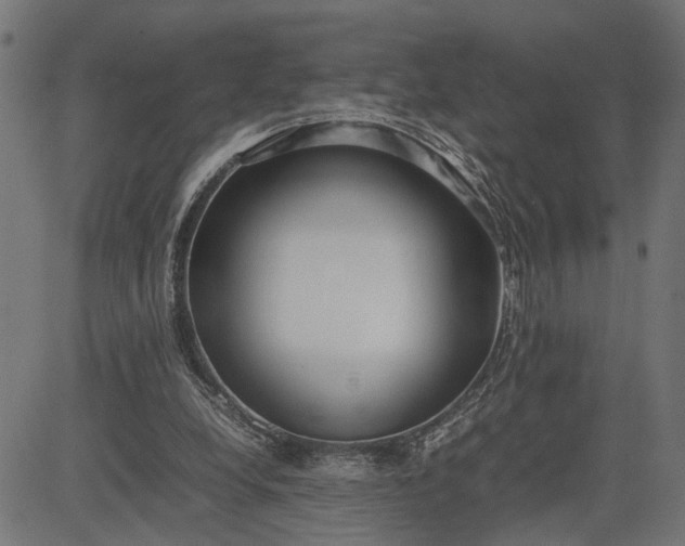 X0000082700248200702091729