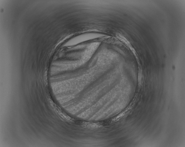 X0000082700249200702091729