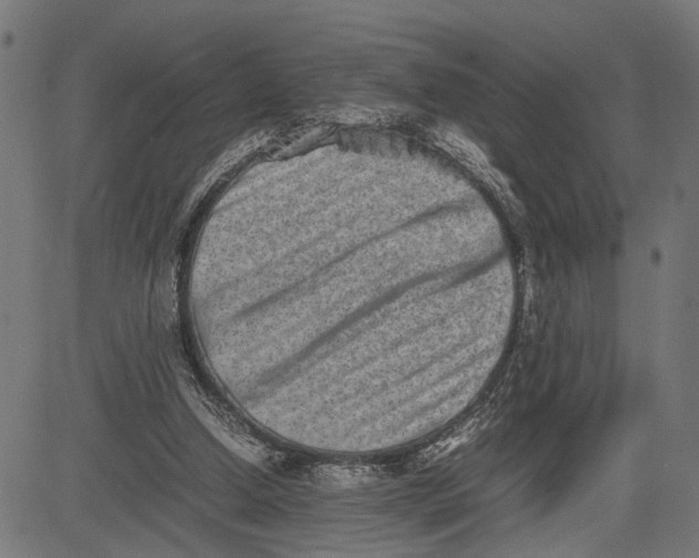 X0000082700250200702091729