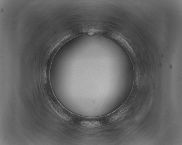 X0000082700251200702091729