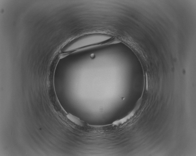 X0000082700252200702091730