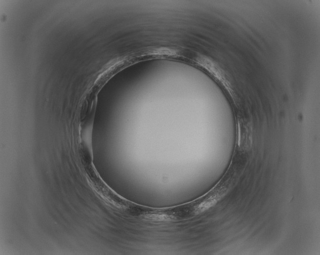 X0000082700253200702091730