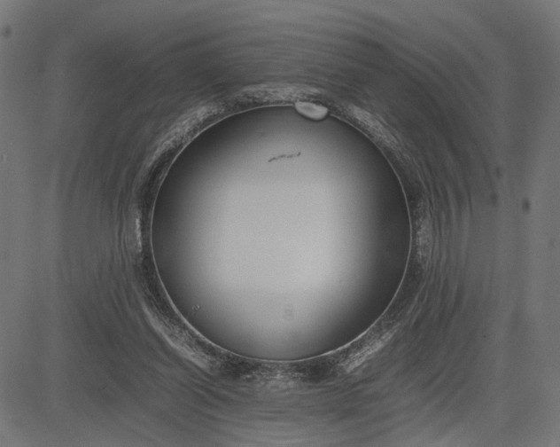 X0000082700254200702091730