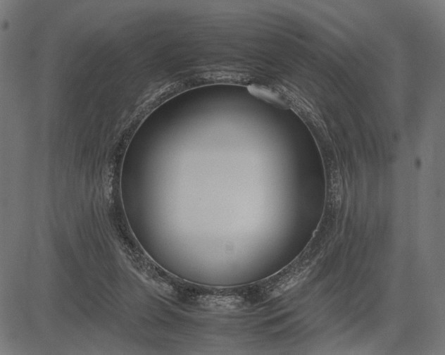 X0000082700255200702091730