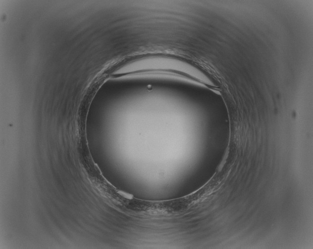 X0000082700256200702091730