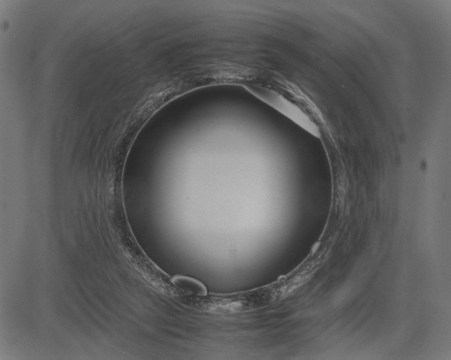 X0000082700257200702091730