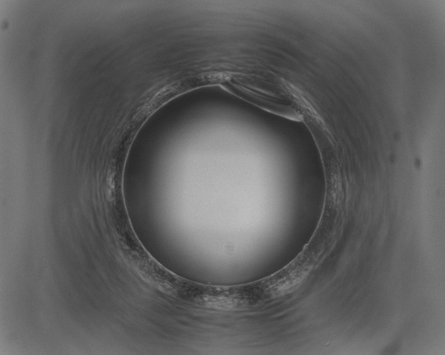 X0000082700259200702091730