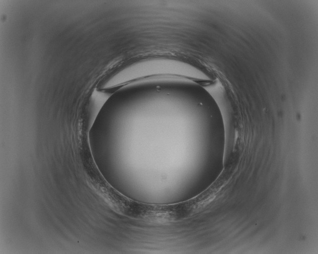 X0000082700260200702091730