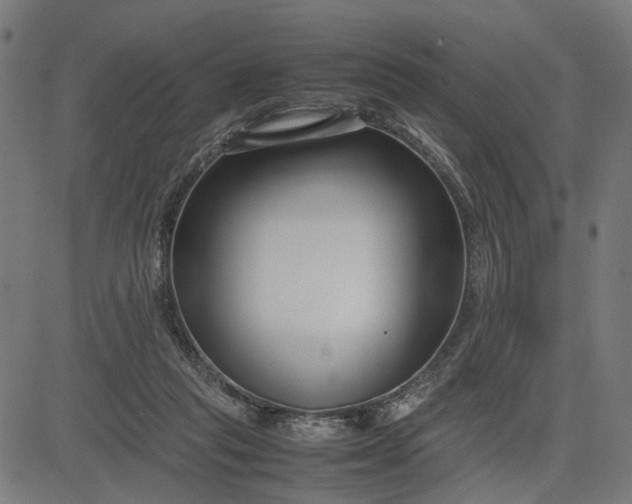 X0000082700261200702091730