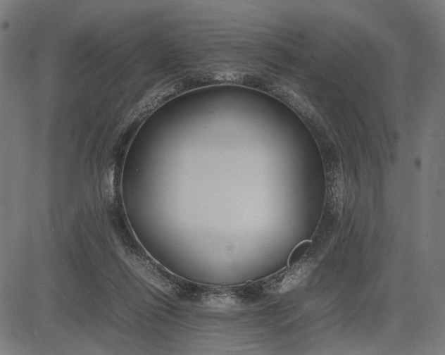 X0000082700262200702091730