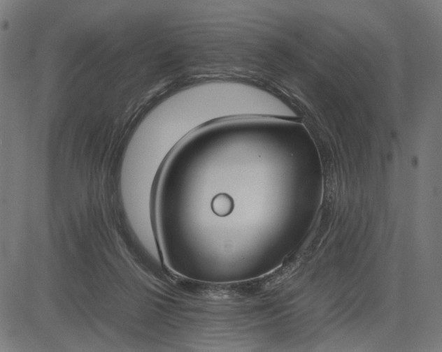 X0000082700264200702091730