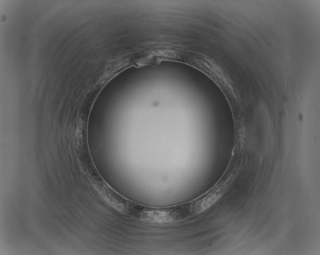 X0000082700265200702091730