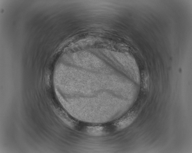 X0000082700266200702091730