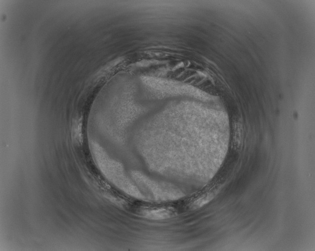 X0000082700267200702091730