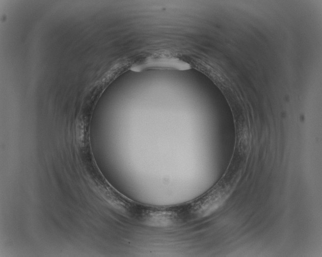 X0000082700268200702091730