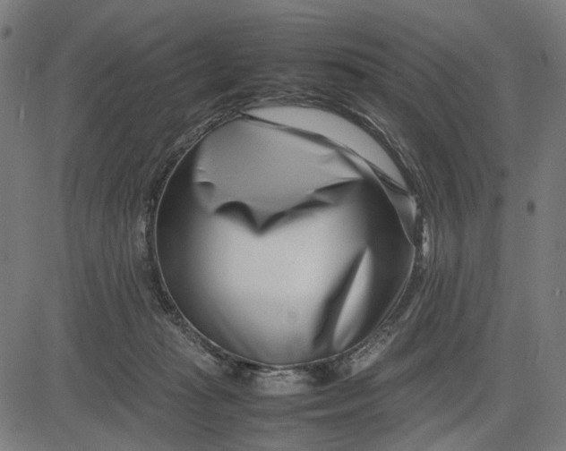 X0000082700269200702091730