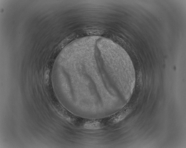 X0000082700271200702091730