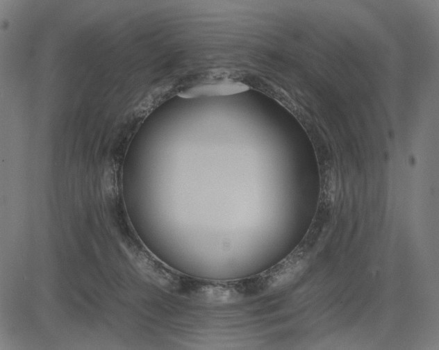 X0000082700272200702091730