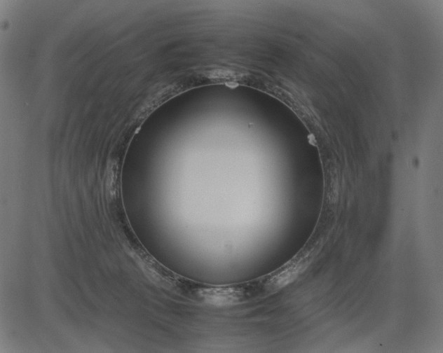 X0000082700273200702091730