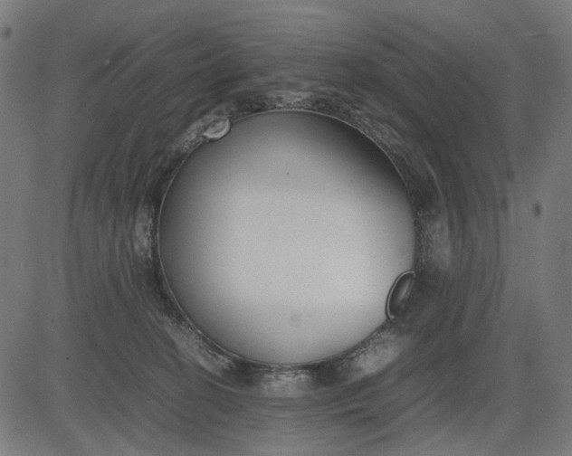 X0000082700274200702091730