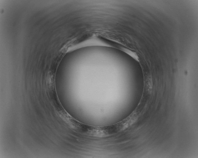 X0000082700276200702091730