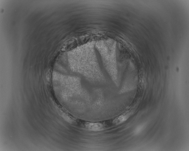 X0000082700277200702091730