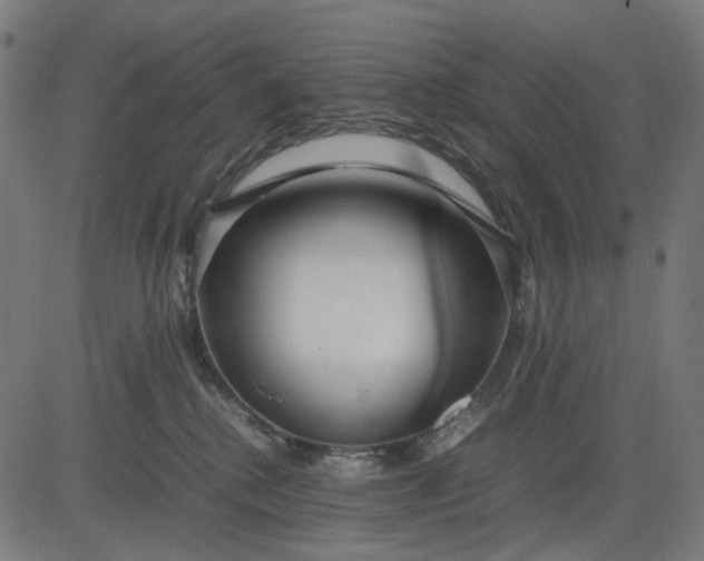 X0000082700280200702091730