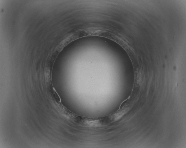 X0000082700283200702091730