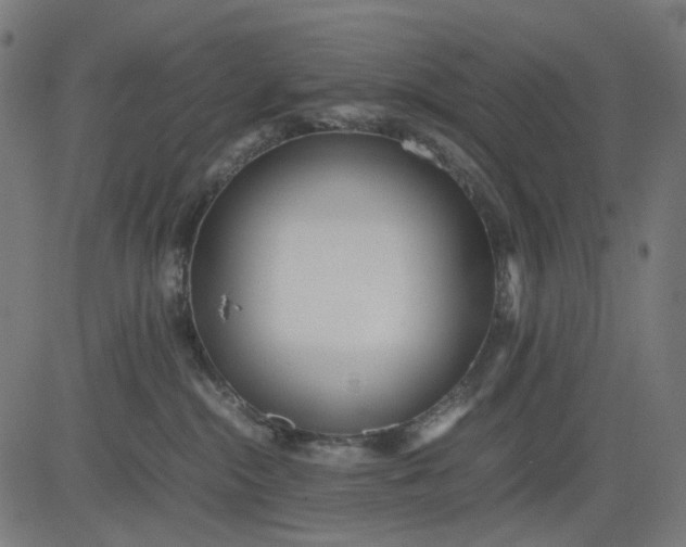 X0000082700284200702091730