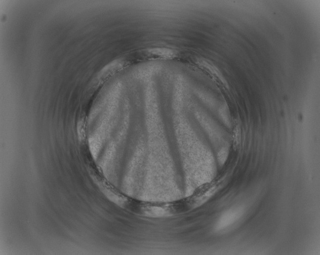 X0000082700285200702091730