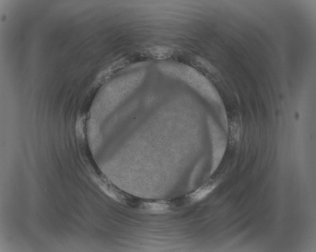 X0000082700286200702091730