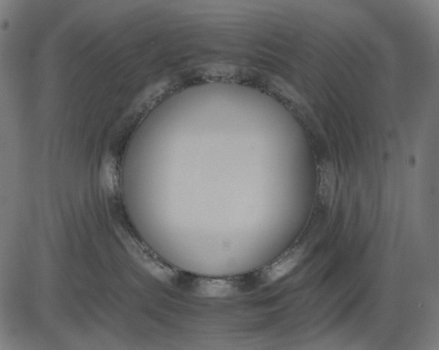 X0000082700287200702091730