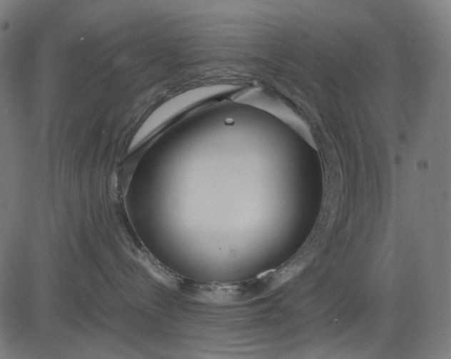 X0000082700288200702091730