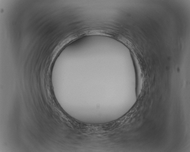 X0000082700289200702091729